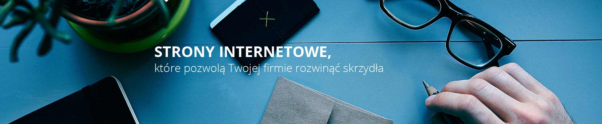 strony internetowe w Lublinie
